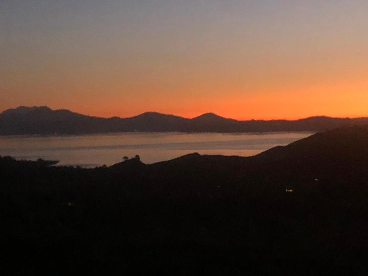 Whakaipo Bay Cabin Retreat אגם טאופו מראה חיצוני תמונה