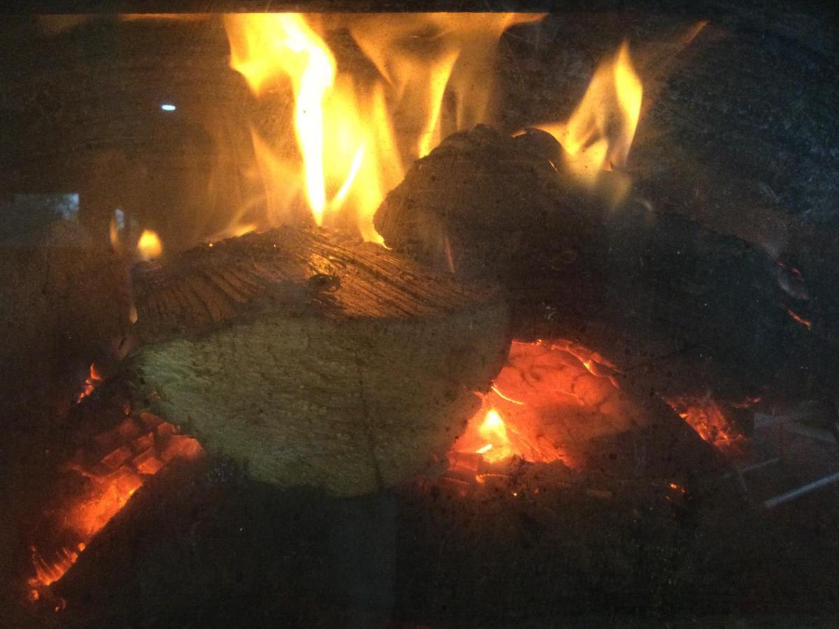 Whakaipo Bay Cabin Retreat אגם טאופו מראה חיצוני תמונה