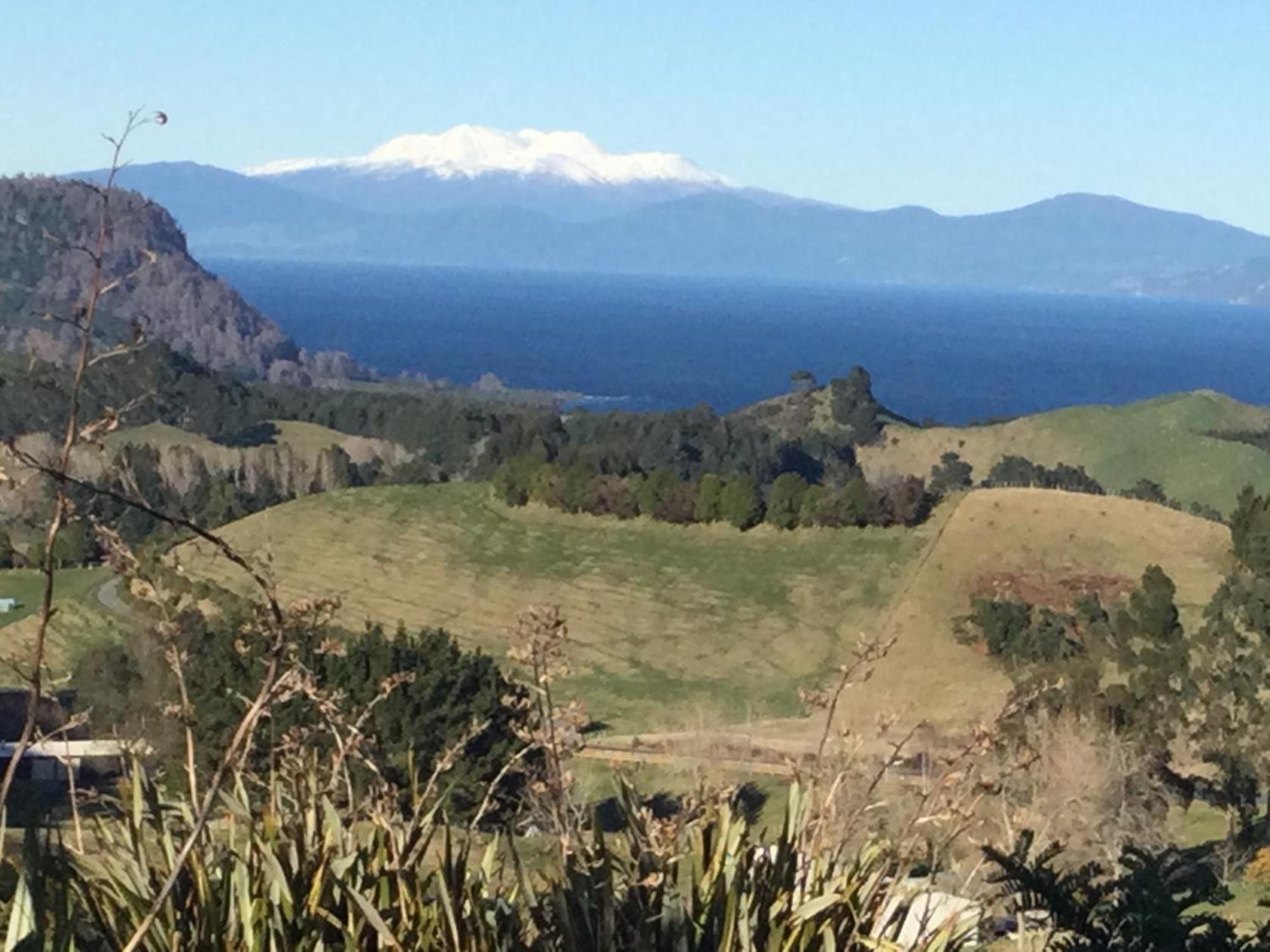 Whakaipo Bay Cabin Retreat אגם טאופו מראה חיצוני תמונה