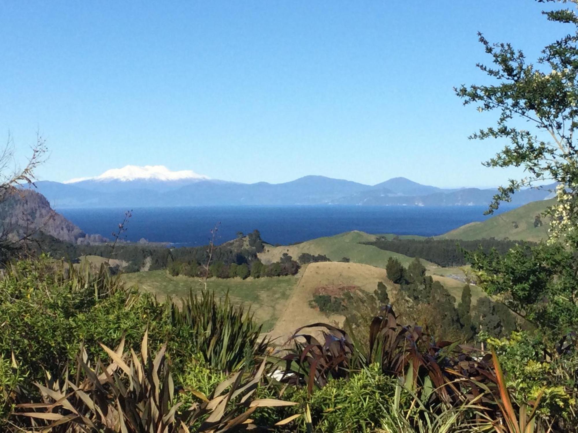 Whakaipo Bay Cabin Retreat אגם טאופו מראה חיצוני תמונה